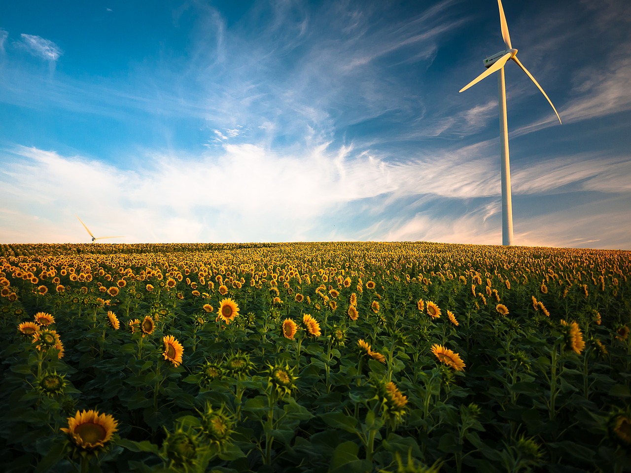 découvrez les avantages de l'énergie éolienne, une source d'énergie renouvelable essentielle qui contribue à la lutte contre le changement climatique. apprenez comment les éoliennes transforment le vent en électricité et améliorent la durabilité énergétique.