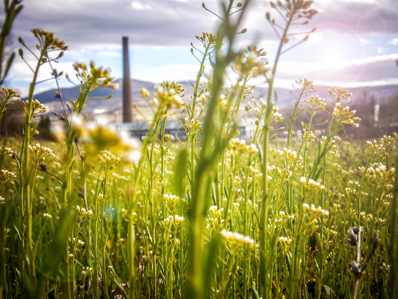 découvrez comment adopter un mode de vie durable grâce à des conseils pratiques, des habitudes écoresponsables et des astuces pour réduire votre empreinte écologique au quotidien.
