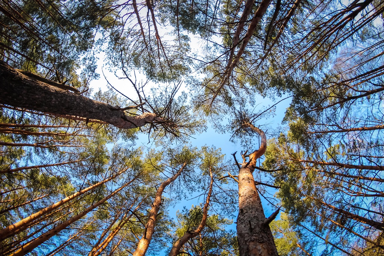 découvrez comment l'économie circulaire transforme notre manière de produire et de consommer, en favorisant la durabilité, la réduction des déchets et l'innovation. apprenez les principes clés et les bénéfices de ce modèle économique qui vise à créer un avenir plus respectueux de l'environnement.