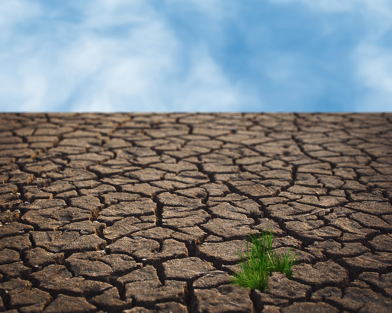 découvrez comment le changement climatique impacte notre planète et explorez les solutions pour préserver notre environnement. informez-vous sur les enjeux environnementaux, les causes et les actions à entreprendre pour un avenir durable.