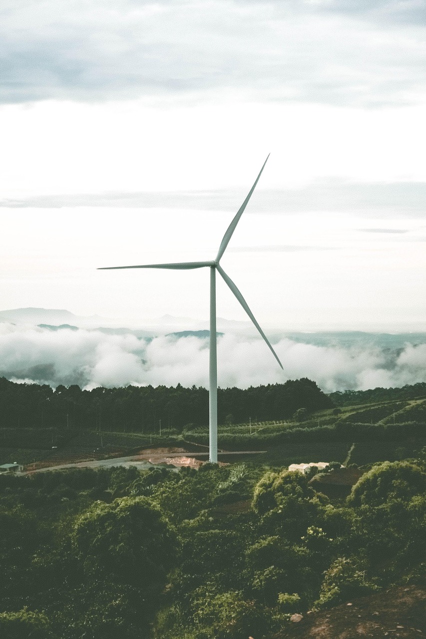 découvrez ce qu'est l'énergie renouvelable, ses avantages pour l'environnement et les principales sources telles que le solaire, l'éolien ou l'hydroélectricité. informez-vous sur l'avenir durable grâce aux énergies vertes.