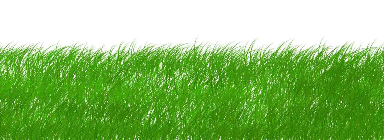 découvrez comment la durabilité façonne notre avenir à travers des pratiques écologiques, des innovations responsables et un engagement envers un mode de vie respectueux de l'environnement. explorez des stratégies et des solutions pour un développement durable.