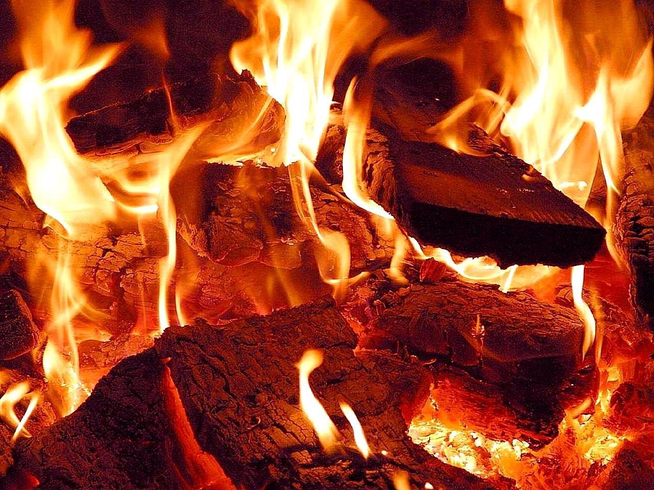 découvrez les enjeux et les stratégies pour la suppression progressive des combustibles fossiles afin de protéger l'environnement et favoriser les énergies renouvelables.