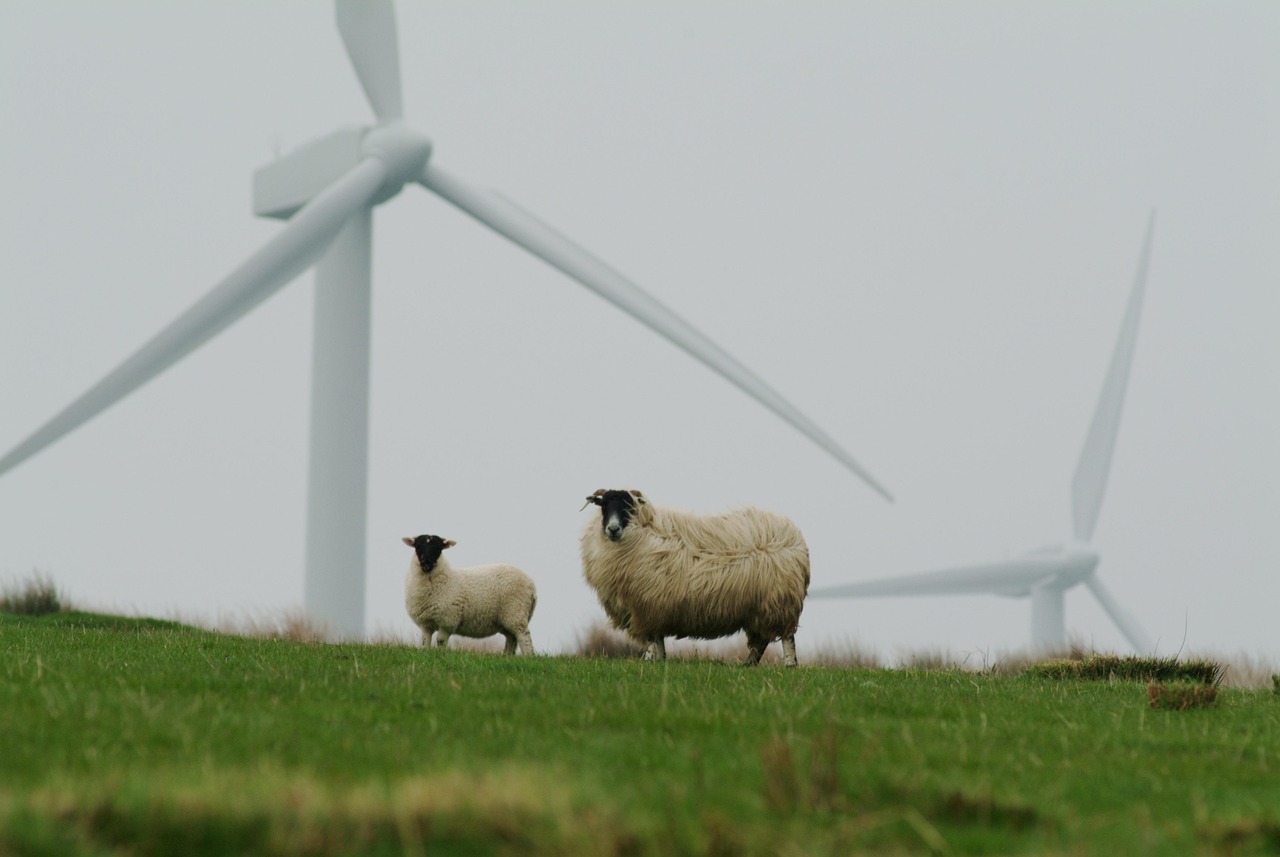 découvrez comment adopter des pratiques durables pour préserver l’environnement, réduire votre impact écologique et contribuer à un avenir plus responsable grâce à des conseils et actualités sur la sustainability.