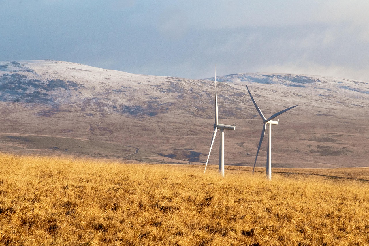 découvrez les sources d'énergie renouvelable, leurs avantages et leur rôle essentiel dans la transition vers un avenir durable et respectueux de l'environnement.