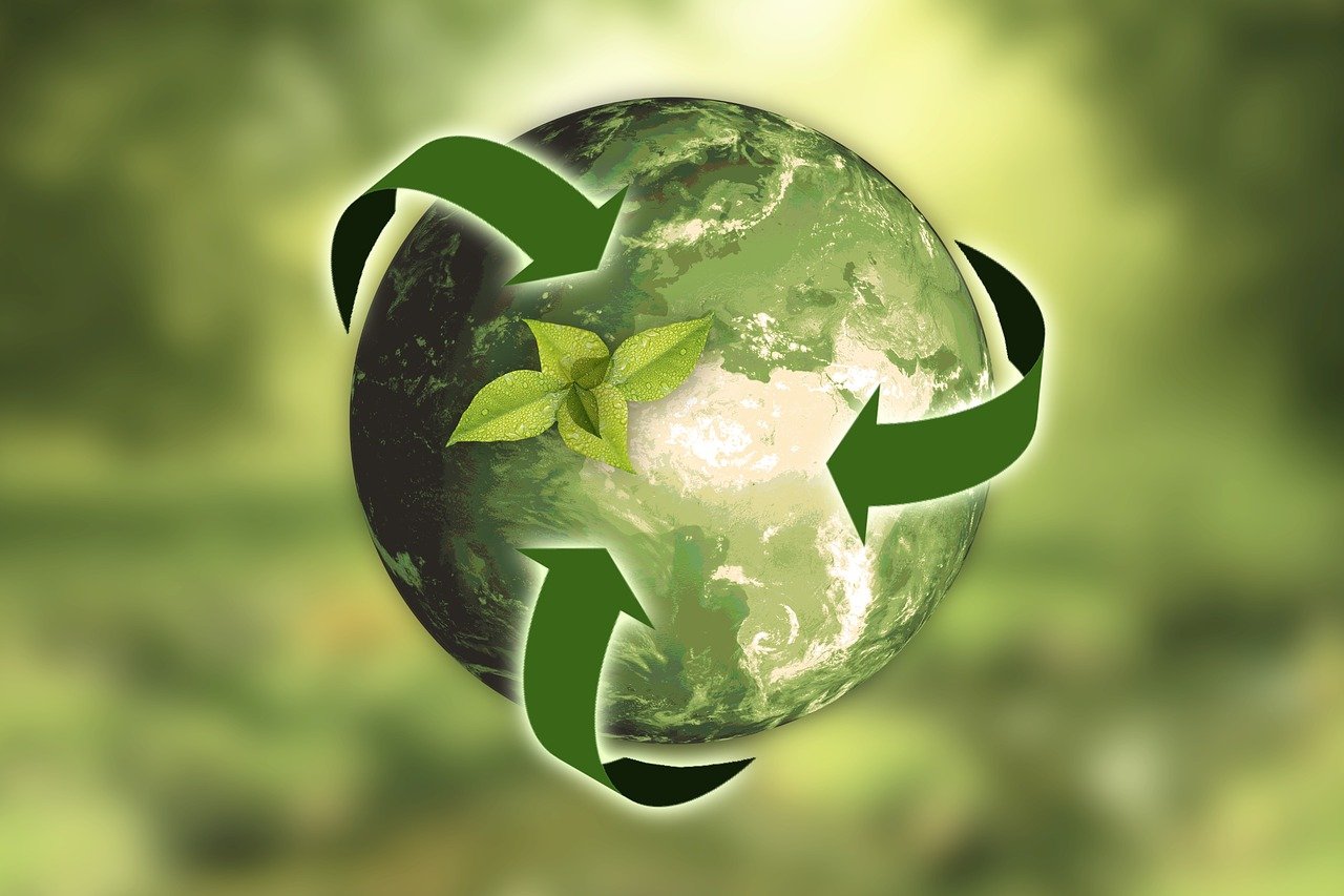 découvrez comment adopter des pratiques durables pour un avenir plus écoresponsable. explorez des conseils, des idées et des solutions pour intégrer la durabilité dans votre quotidien.