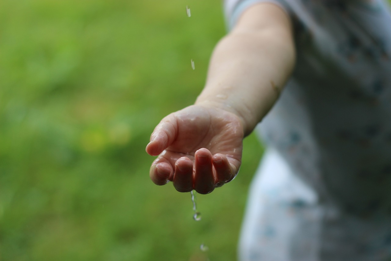 découvrez notre gamme de produits durables, conçus pour préserver l'environnement tout en répondant à vos besoins quotidiens. optez pour des alternatives éco-responsables et faites un geste pour la planète.