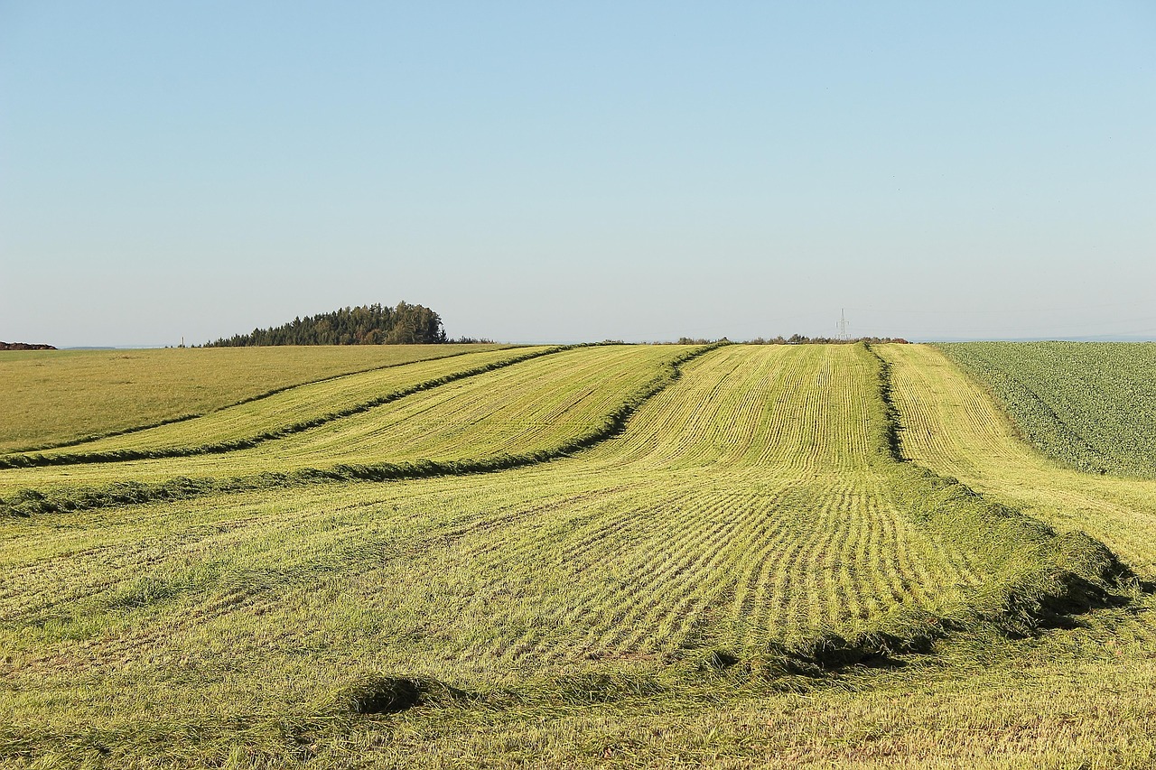 la artificialisation des terres désigne la transformation des espaces naturels ou agricoles en zones urbaines, industrielles ou infrastructures, impactant la biodiversité et les écosystèmes.