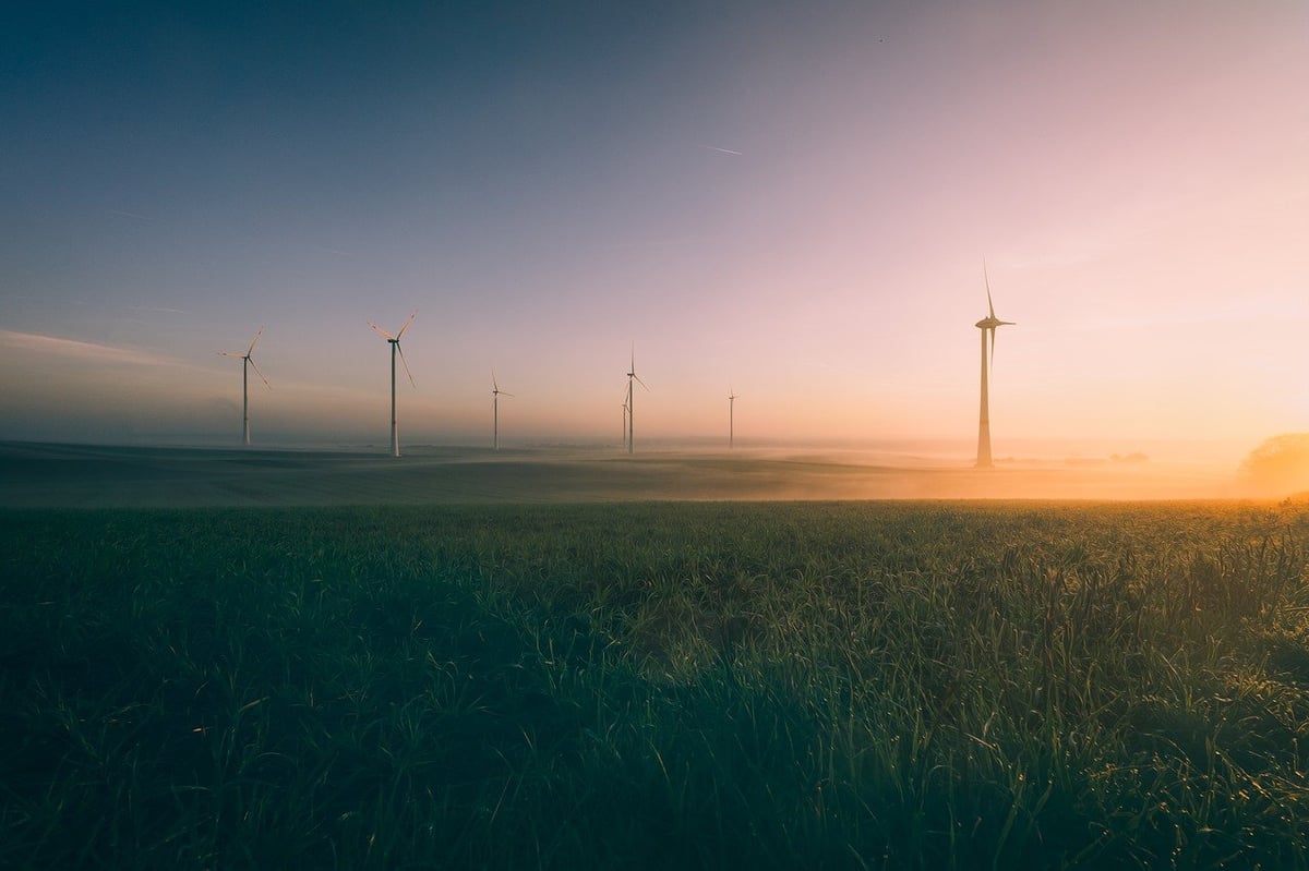 La transition écologique s’invite dans les musées