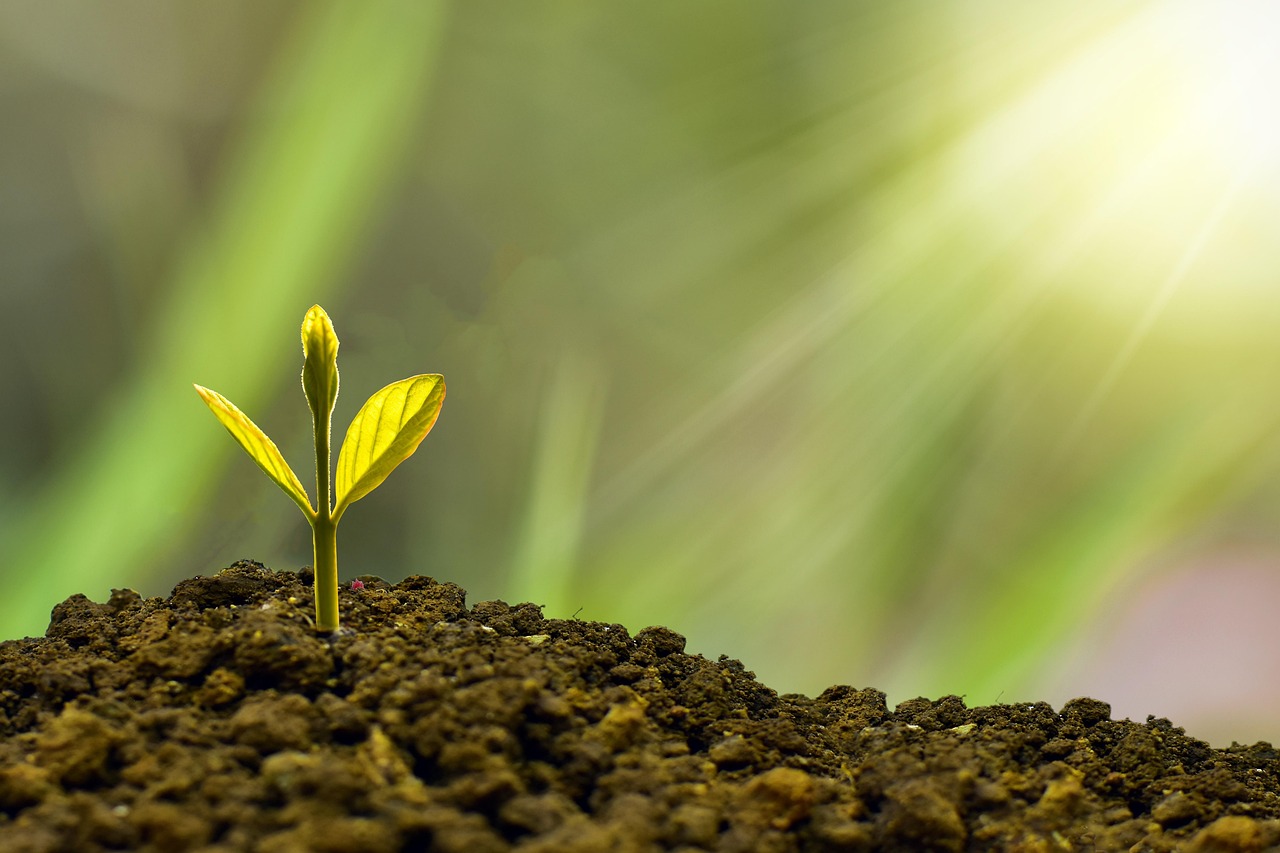 Financement durable : Comment investir pour un avenir responsable