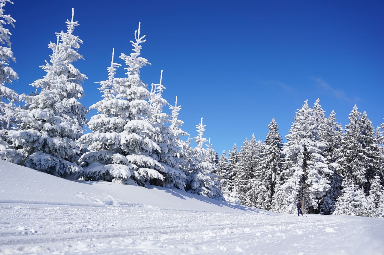 À Chamonix, le club de ski alpin s’engage activement pour lutter contre le changement climatique
