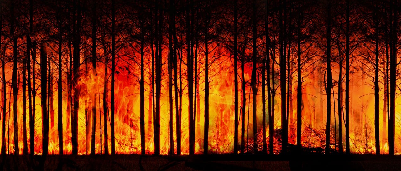 La fresque du climat : un catalyseur pour transformer nos comportements ?