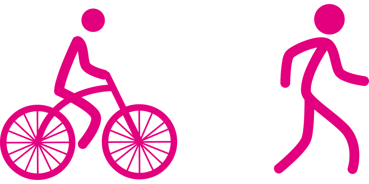 Développement durable : un bilan des initiatives marquantes de 2024 !