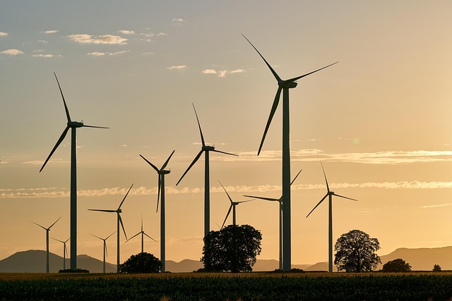 Décarbonation : quand les entreprises doivent impérativement se réinventer pour un avenir durable