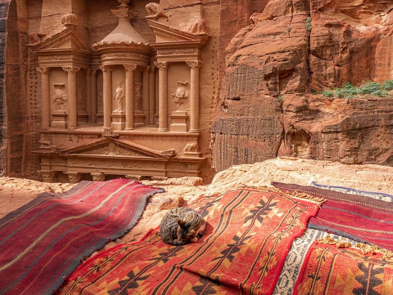 Conflits au Moyen-Orient : conséquences majeures sur le climat et l’environnement