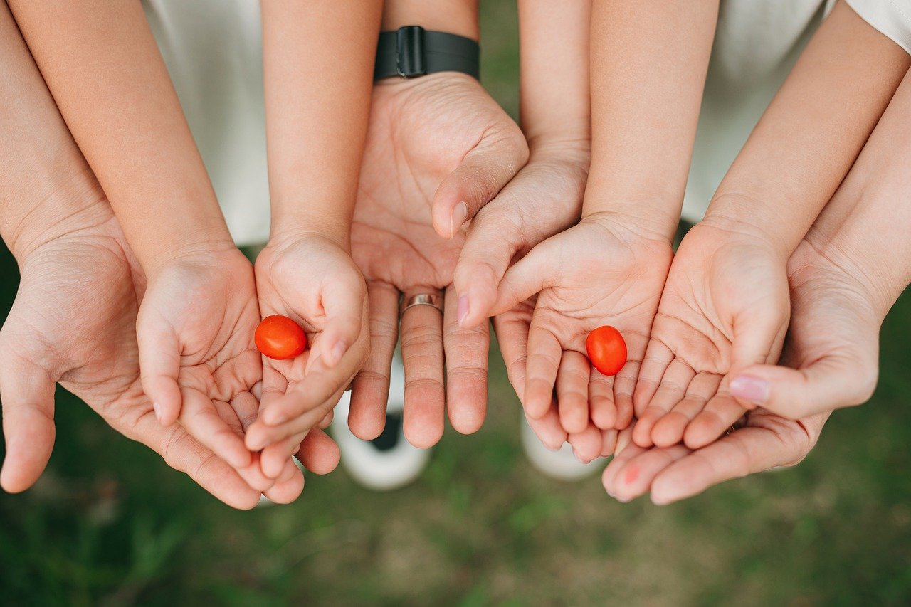 Adieu le tuteur à tomates : en 2026, découvrez l’objet ingénieux que tous les jardiniers astucieux adoptent enfin au potager