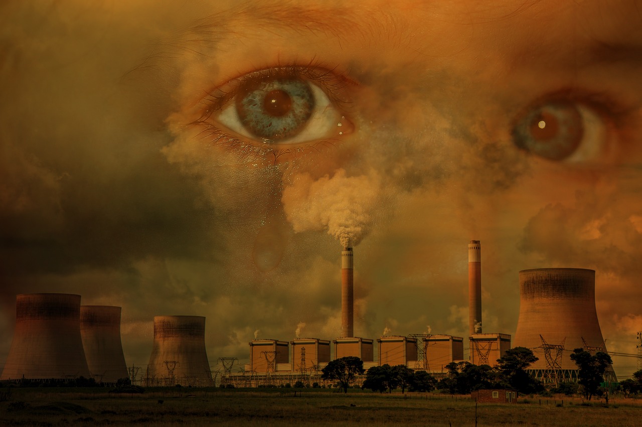 De Bakou à Belém : quel enseignement tirer de 2024 sur la lutte contre le changement climatique ?