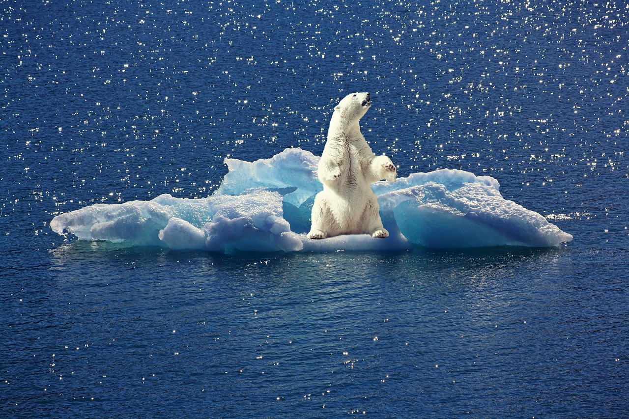 Canicule : François Gemenne déplore que les discussions sur le climat ne surviennent que lors des catastrophes
