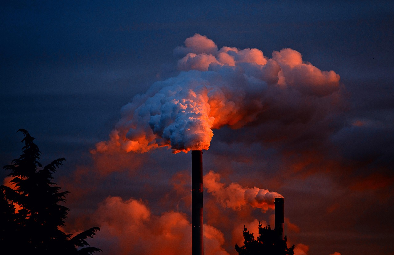 Découvrez l’ensemble de nos articles dédiés à l’impact environnemental