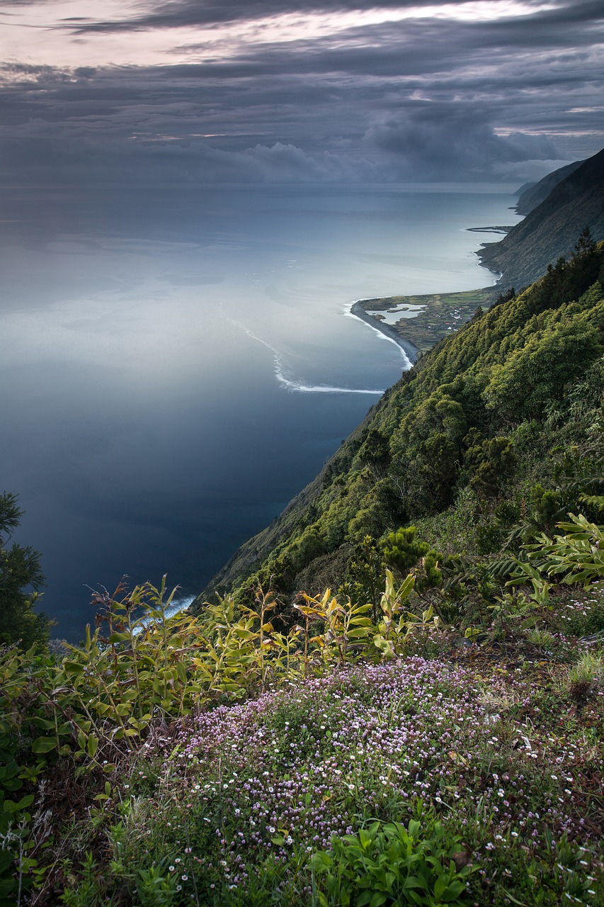 Biodiversité : Comprendre son importance pour l’équilibre des écosystèmes