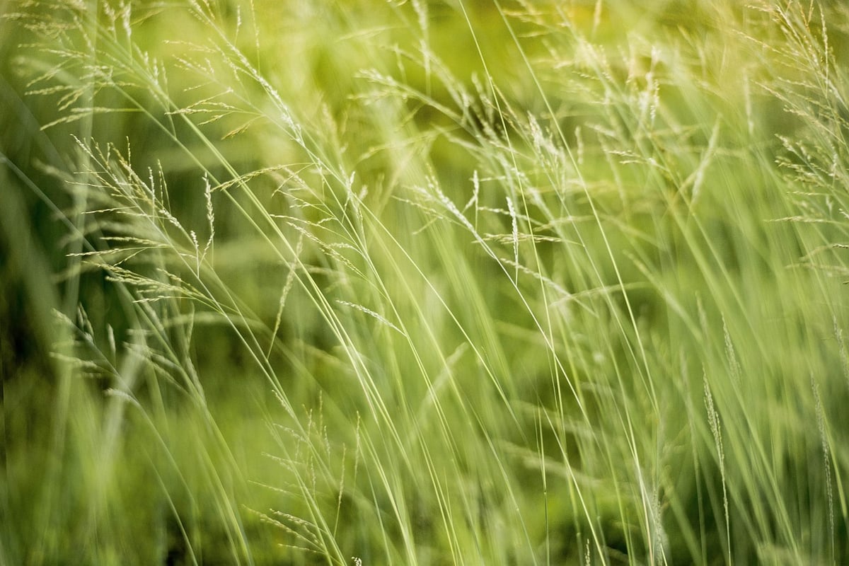 Impact environnemental : comprendre ses conséquences sur la planète