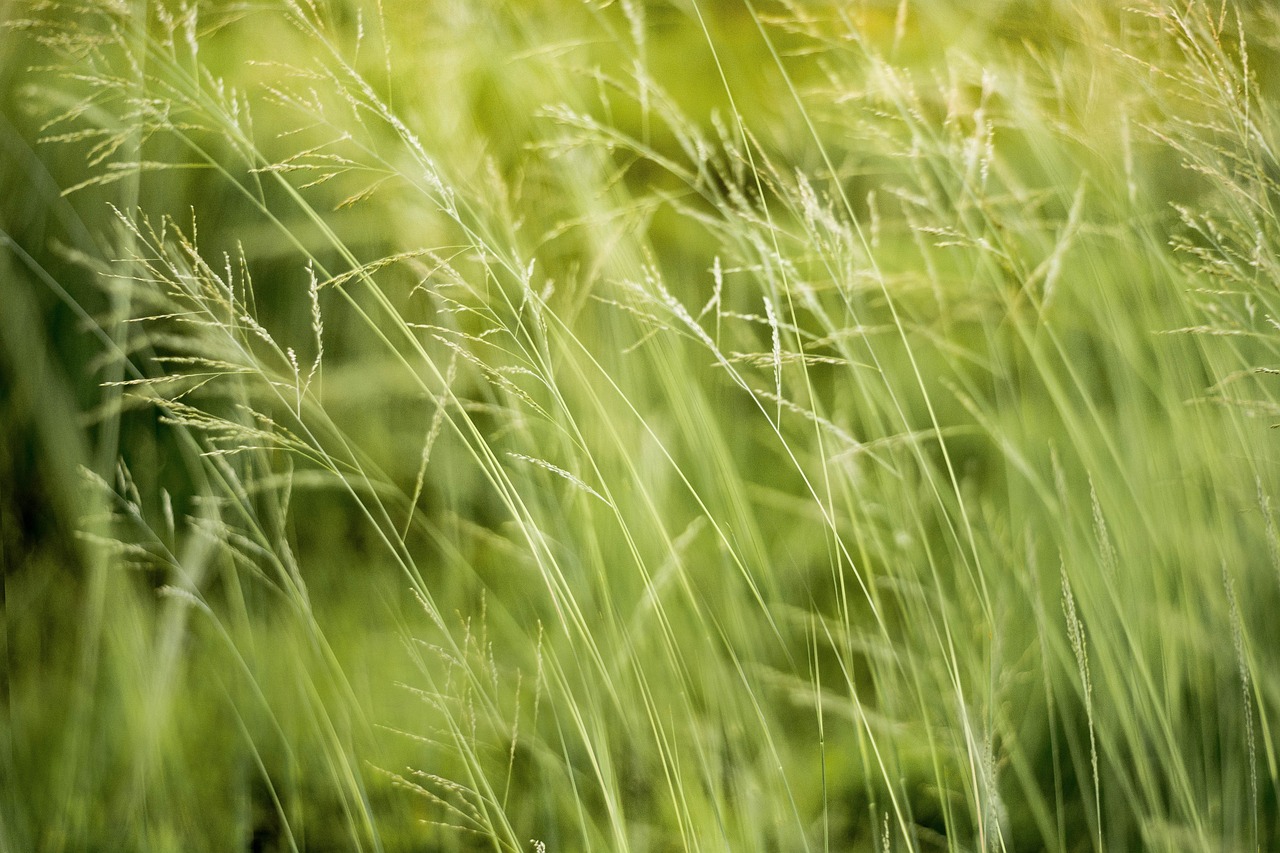 Impact environnemental : comprendre ses conséquences sur la planète