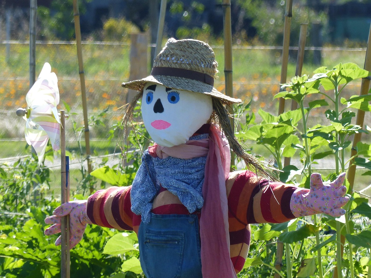 Permaculture : Les principes fondamentaux pour un jardin durable