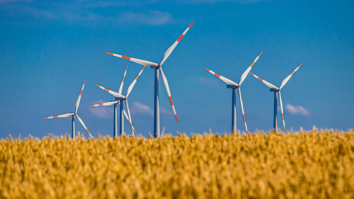 Utilisation durable du sol : stratégies pour une agriculture éco-responsable