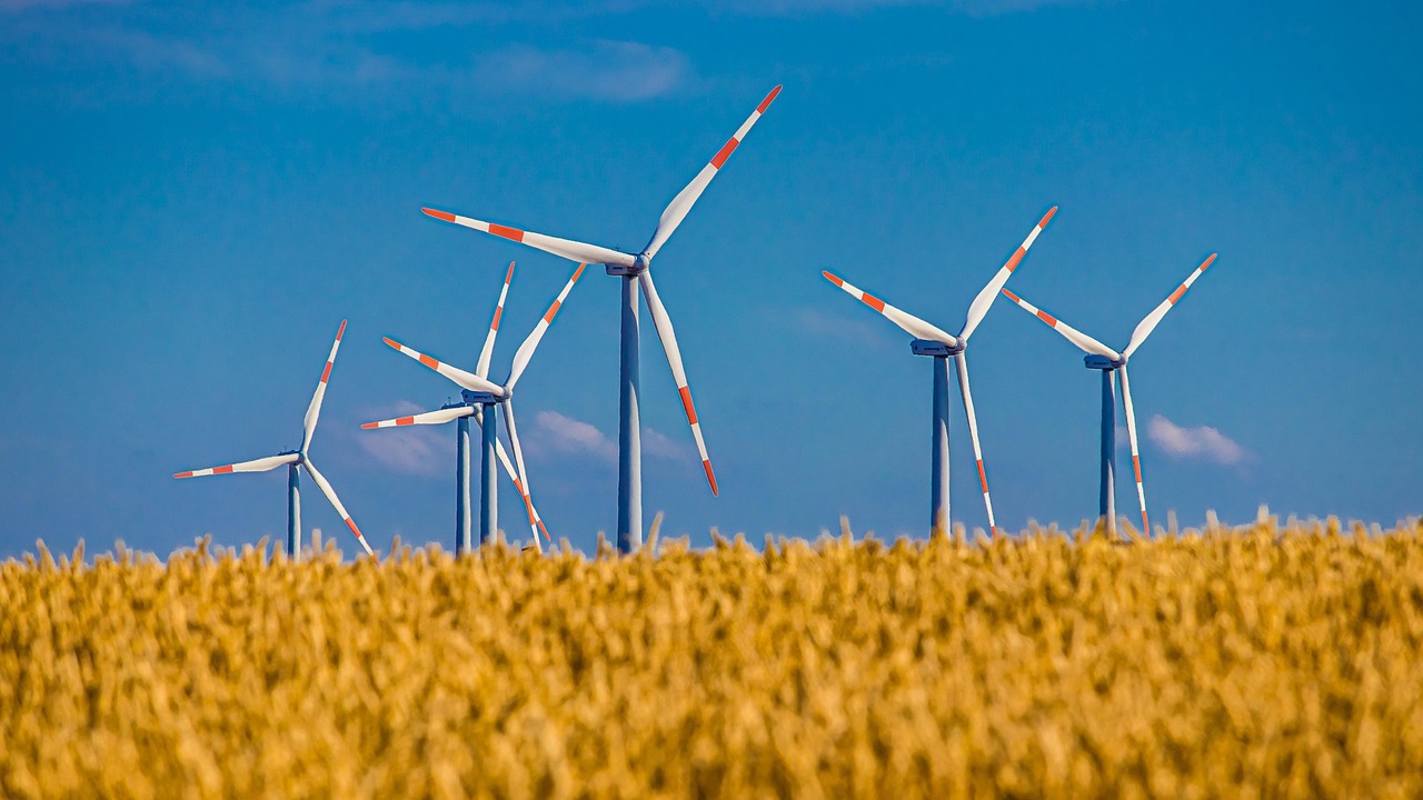 Utilisation durable du sol : stratégies pour une agriculture éco-responsable
