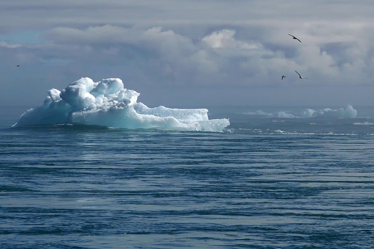 Changements climatiques : Comprendre l’impact sur notre planète et nos vies