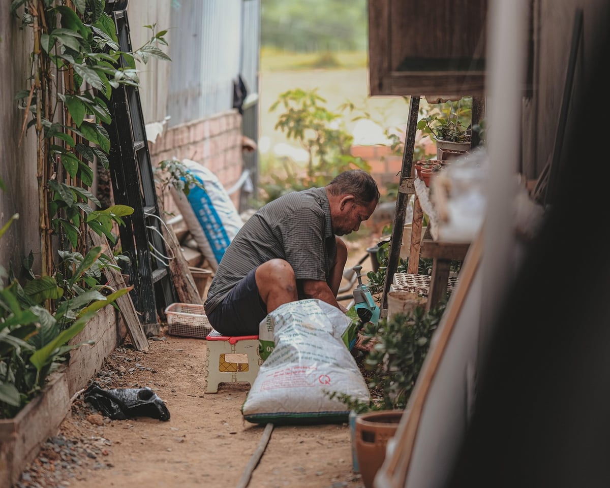 Potager urbain permaculture : principes, astuces et conseils pour cultiver en ville