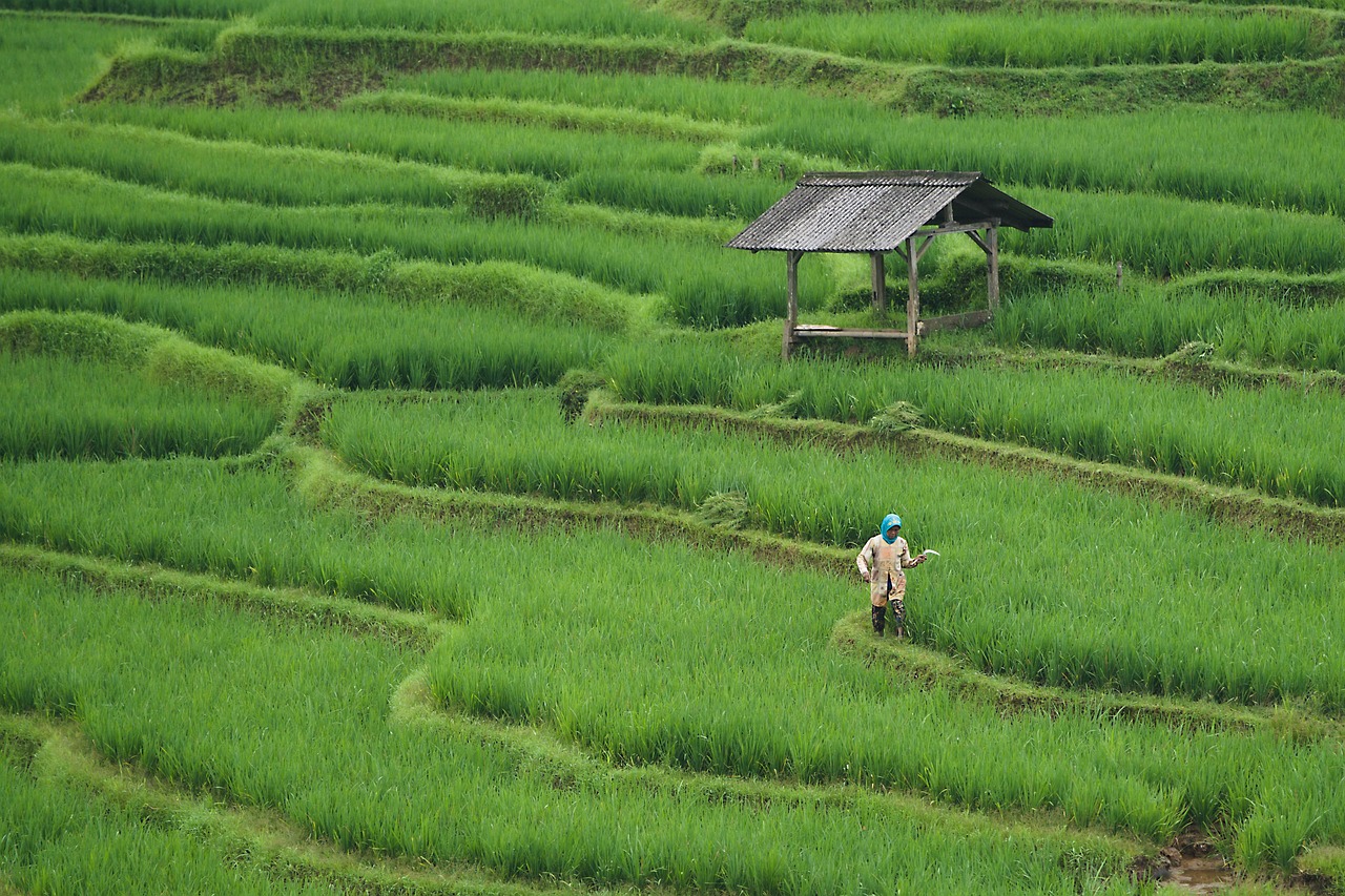 L’impact de l’agriculture sur l’environnement et la biodiversité