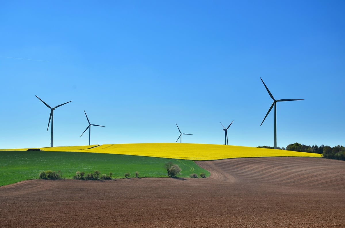 Développement respectueux de l’environnement : 5 stratégies pour un avenir durable