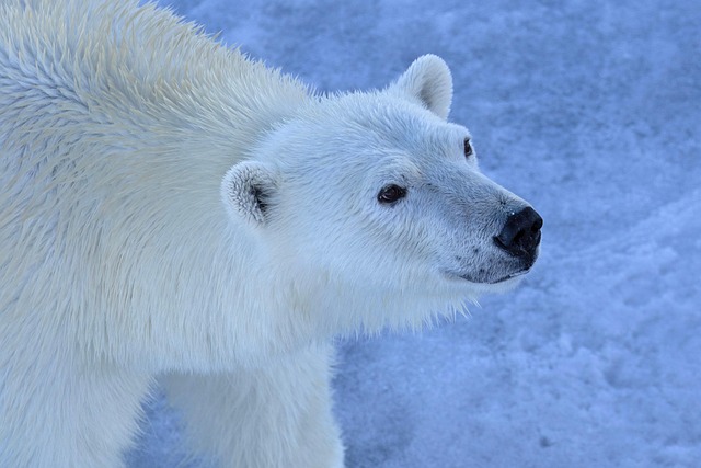 Climat : L’Inde, troisième émetteur mondial de CO₂, dévoile ses objectifs « prudents » pour 2035