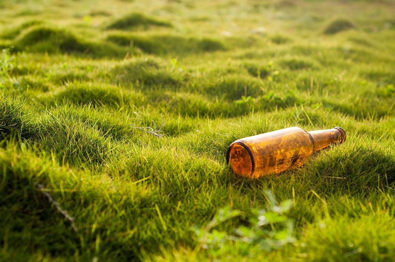 Gouvernance environnementale : enjeux et perspectives pour un développement durable
