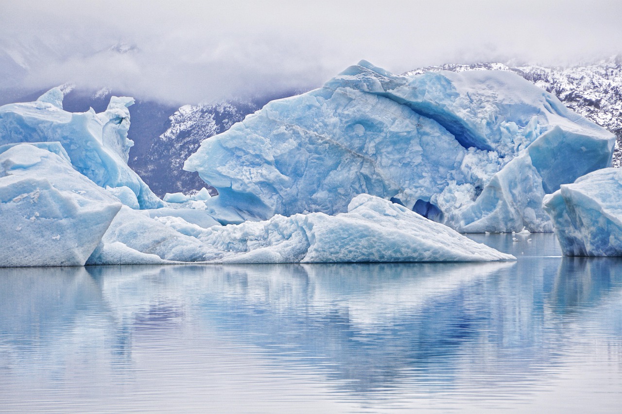 Podcast : Faire la lumière sur le climat et notre empreinte environnementale