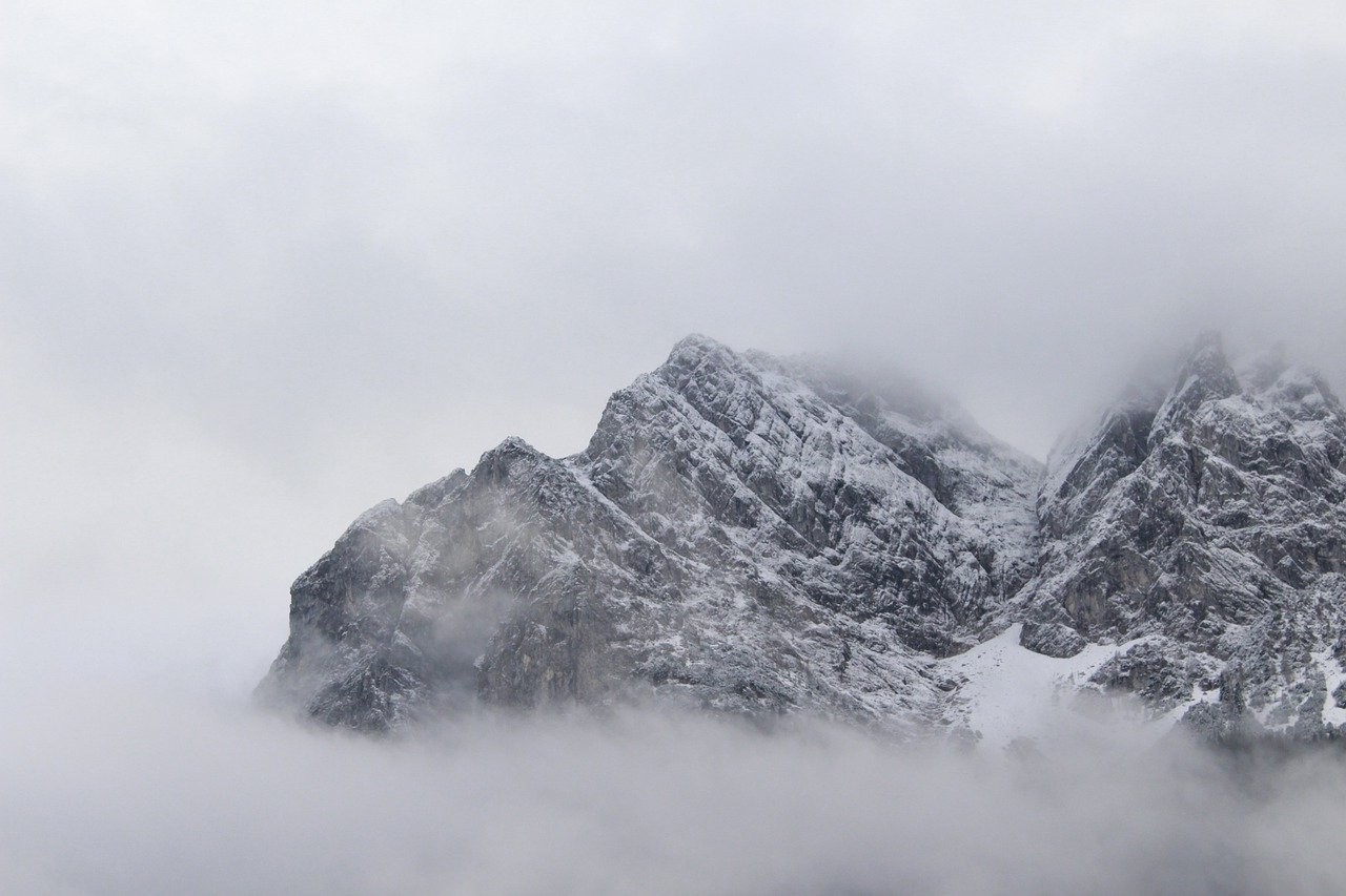Label bas-carbone : une distinction pour les champions de la lutte contre le changement climatique