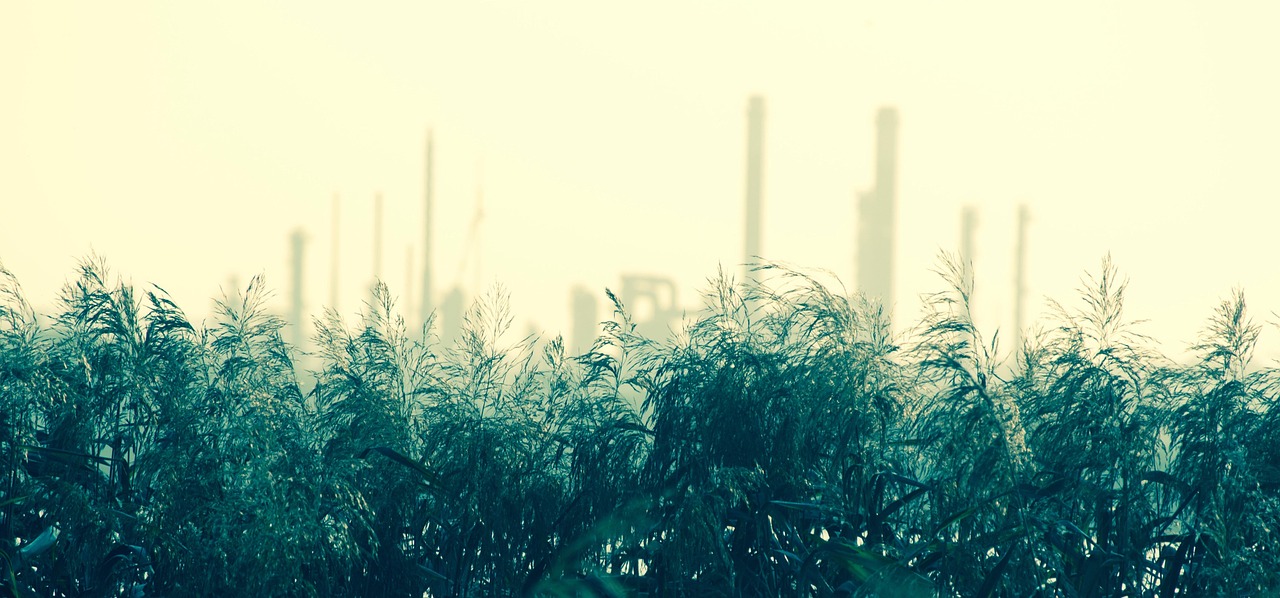 Écologie industrielle : Vers une nouvelle ère de durabilité et d’innovation