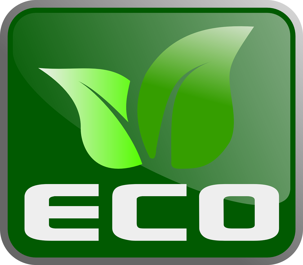 Économie verte : Les clés pour une transition durable et responsable