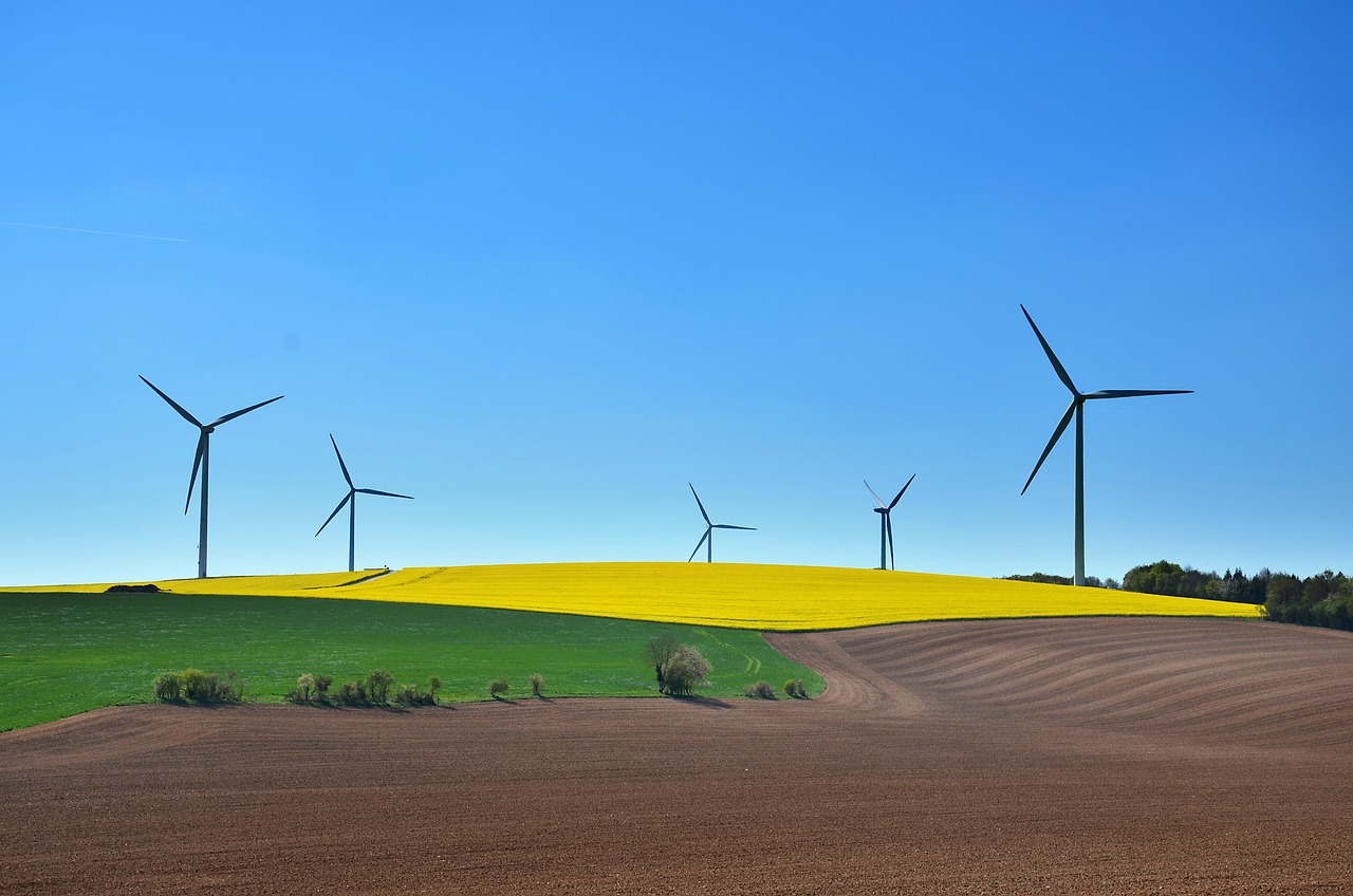 Vers un avenir éco-responsable : Comprendre le développement durable