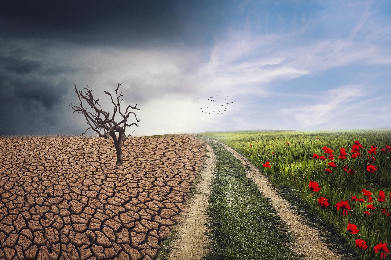 Travailler ensemble pour le climat : un enjeu essentiel pour notre avenir