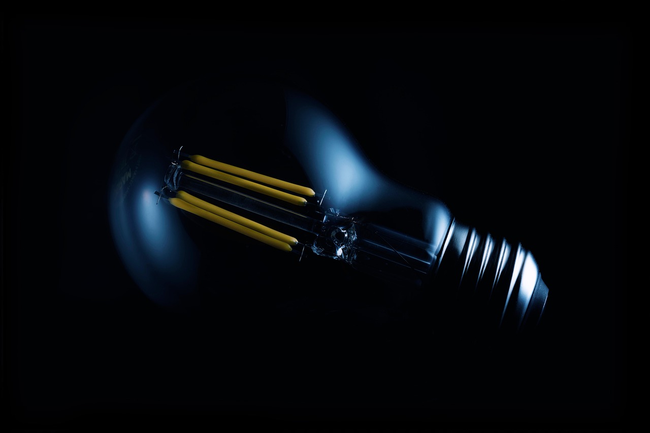 L’électricité française : un enjeu de décarbonation grâce à l’énergie nucléaire et aux sources renouvelables