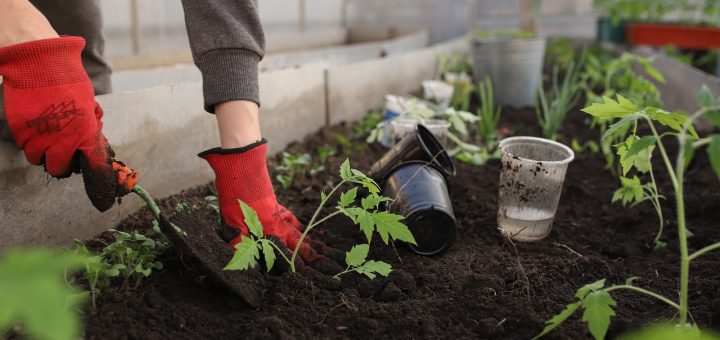 découvrez l'impact des émissions de gaz à effet de serre sur notre planète et les solutions pour réduire notre empreinte carbone. informez-vous sur les enjeux environnementaux et les initiatives pour un avenir plus durable.