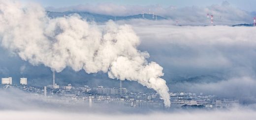 découvrez comment réduire votre empreinte carbone et contribuer à la protection de l'environnement. explorez des conseils pratiques, des actions simples et des solutions durables pour minimiser votre impact écologique au quotidien.