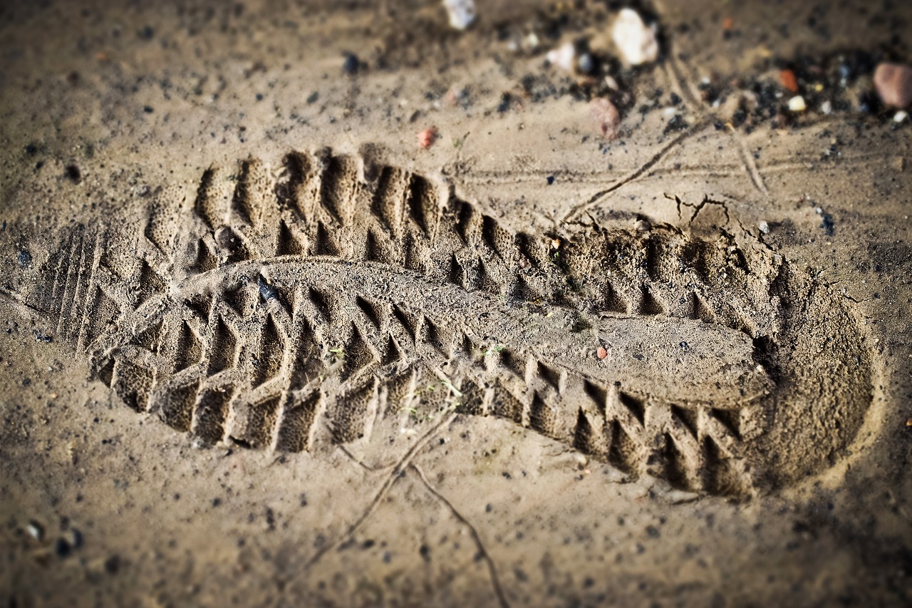 découvrez tout sur l'empreinte carbone : définition, enjeux environnementaux, et conseils pratiques pour réduire votre impact écologique au quotidien.