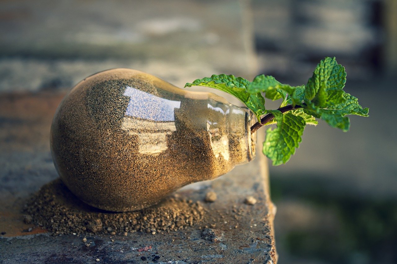 découvrez des stratégies efficaces et des conseils pratiques pour la protection de l'environnement. engagez-vous dans des actions éco-responsables et contribuez à la préservation de notre planète pour les générations futures.