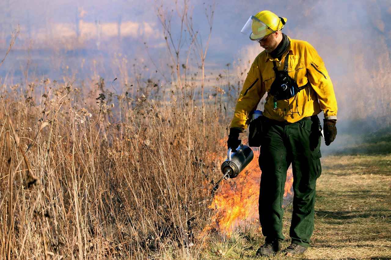 découvrez l'impact dévastateur des incendies de forêt, leurs causes principales, et les mesures à prendre pour les prévenir. explorez les enjeux environnementaux et sociaux liés à ce phénomène croissant.