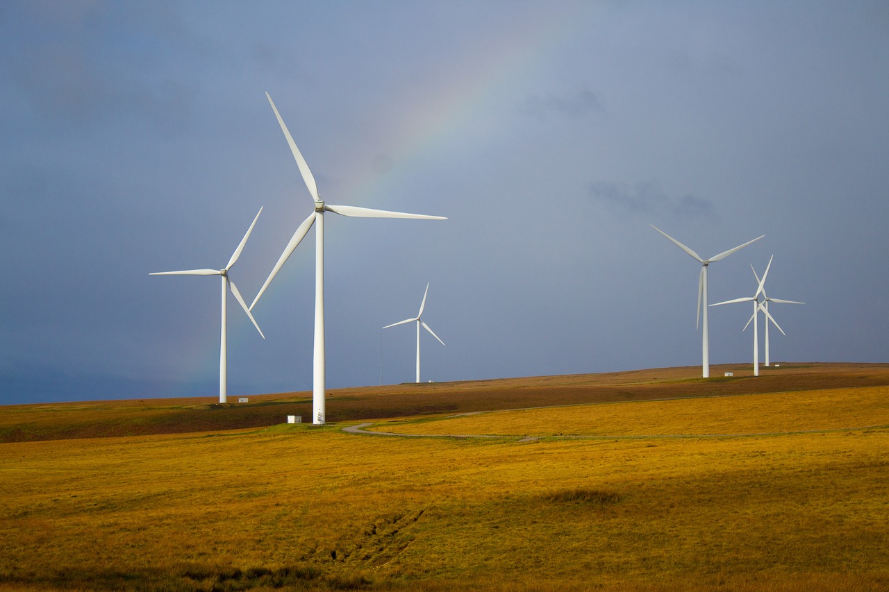 découvrez des stratégies de planification durable visant à harmoniser le développement économique et la protection de l'environnement, pour un avenir respectueux des ressources naturelles.