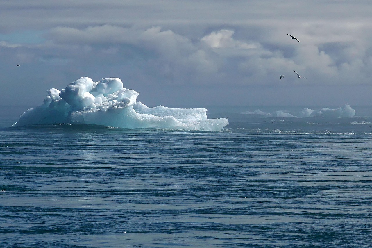 découvrez des stratégies innovantes et des solutions pratiques pour s'adapter aux changements climatiques. apprenez comment les individus, les communautés et les entreprises peuvent se préparer et répondre aux défis environnementaux actuels.