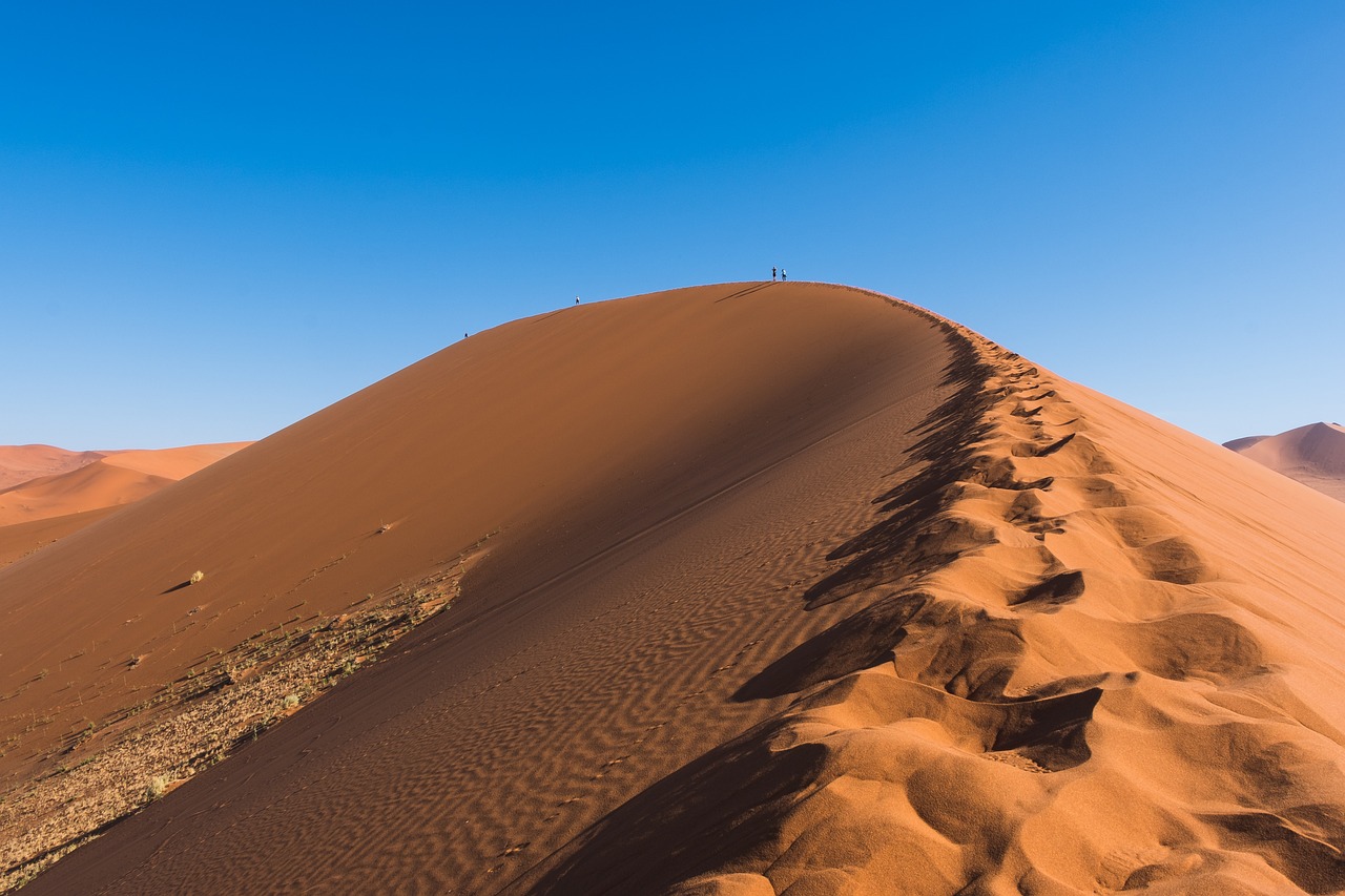 découvrez les défis climatiques actuels, leurs impacts sur notre planète et les solutions pour un avenir durable. engagez-vous dans la lutte contre le changement climatique et apprenez comment chacun peut contribuer à préserver notre environnement.